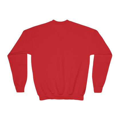 Youth Crewneck Sweatshirt — Graphic Money Hand Print